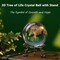 3D Tree of Life Crystal Ball with Stand Laser Engraved Glass Ball Tree of Life Decor Decorative Globes 3D Crystal Plant Sphere Gifts for Her Birthday